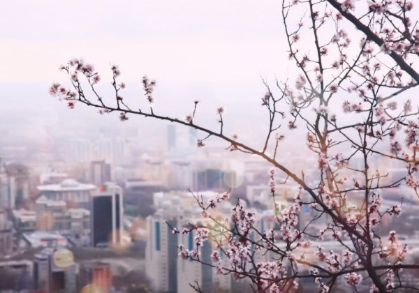 Алматы весной