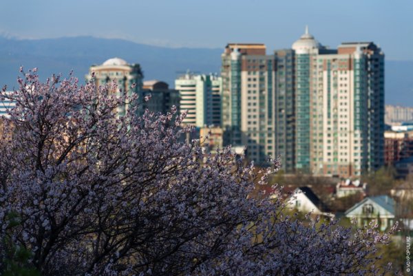 Алматы Весна
