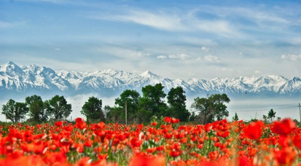 Парк первого президента Казахстана горы