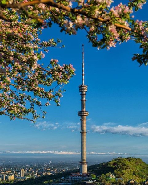 Алма Ата весной