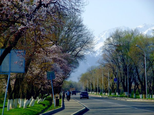 Алма Ата Весна