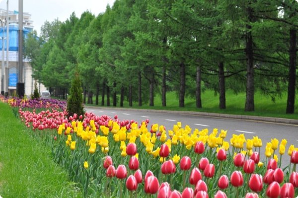 Алма Ата весной