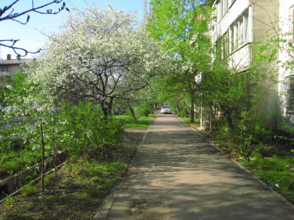 Алматы Весна