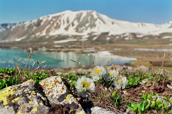 Алматы Весна 2021 фото