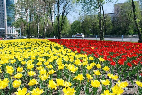 Горы Алматы весной