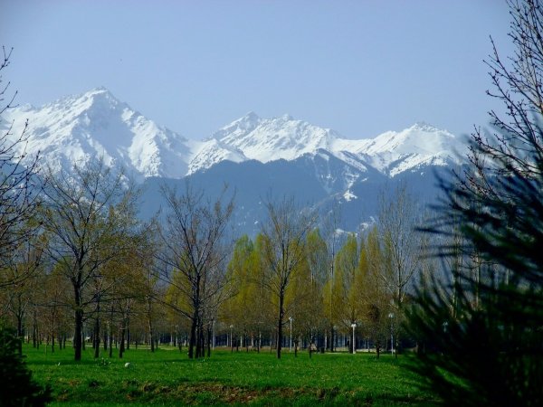 Алма Ата весной