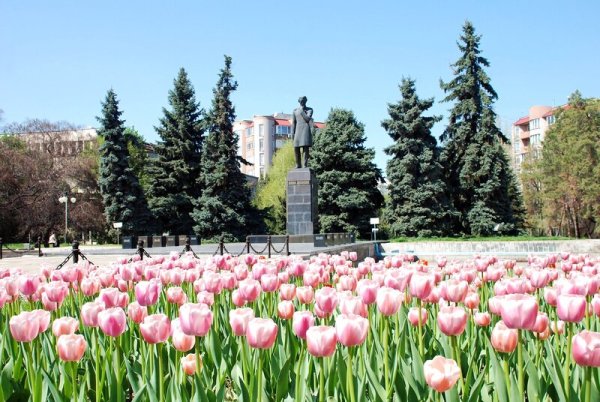 Аллеи города Алма Ата