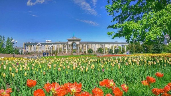 Весна в Алматы фото