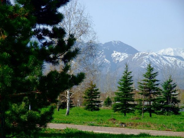 Весна в Алматы фото