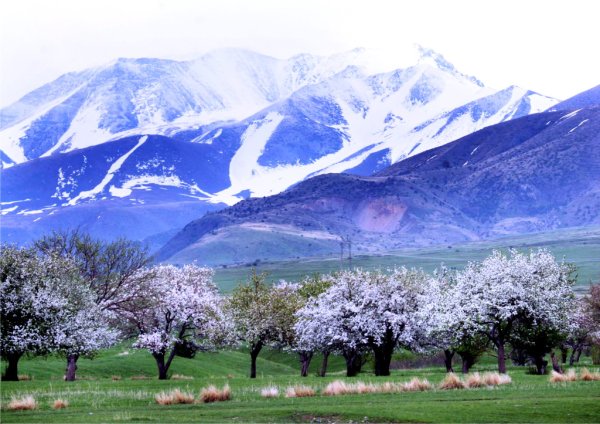 Природа Казахстана Алма Ата