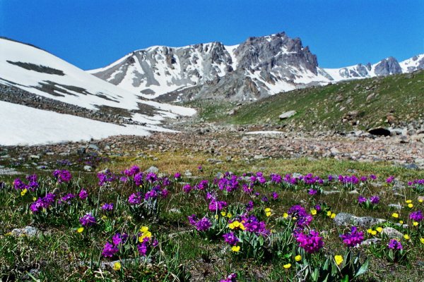 Горы Казахстана Семиречье