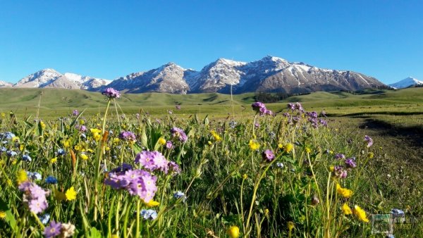 Олений пик Айдахо