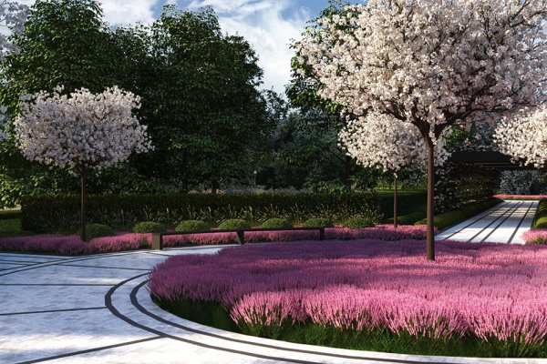 Шафран Алатауский