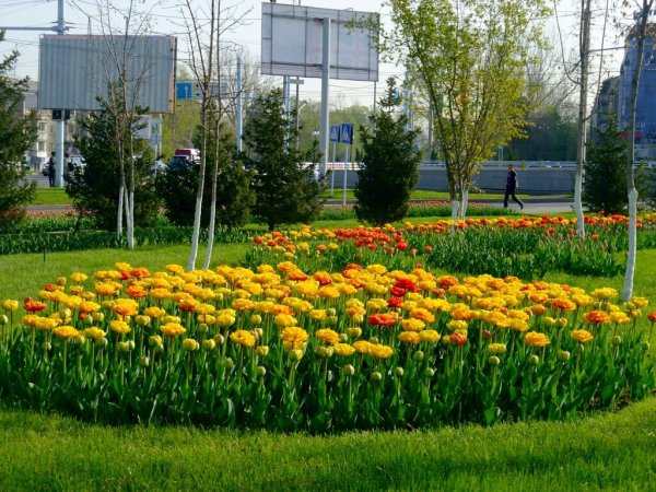 Алматы площадь Республики