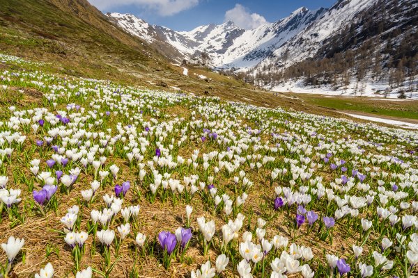Алматы весной