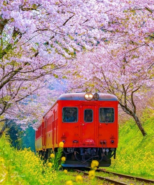 Железнодорожная станция «Gyeonghwa» (Южная Корея)