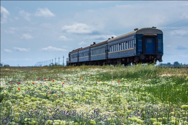 Поезд в поле