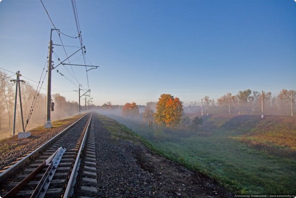Железная дорога цветы