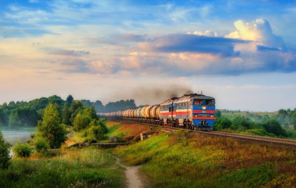 Железная дорога цветы