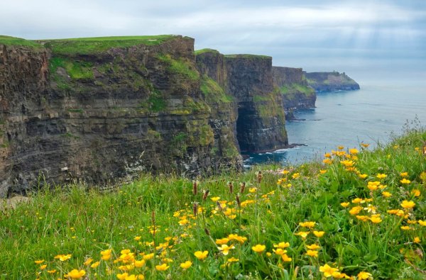 Луга Ирландии