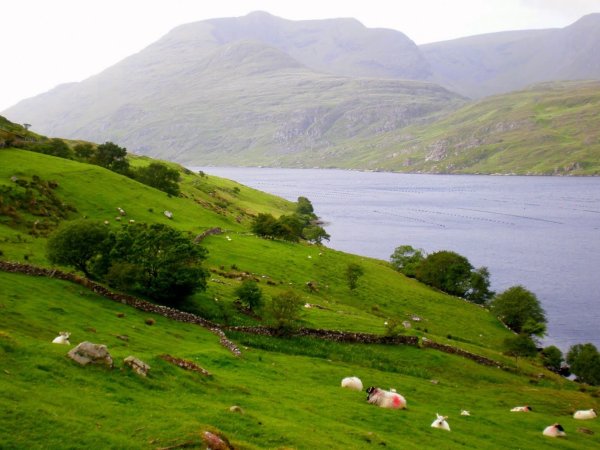 Ирландия весной