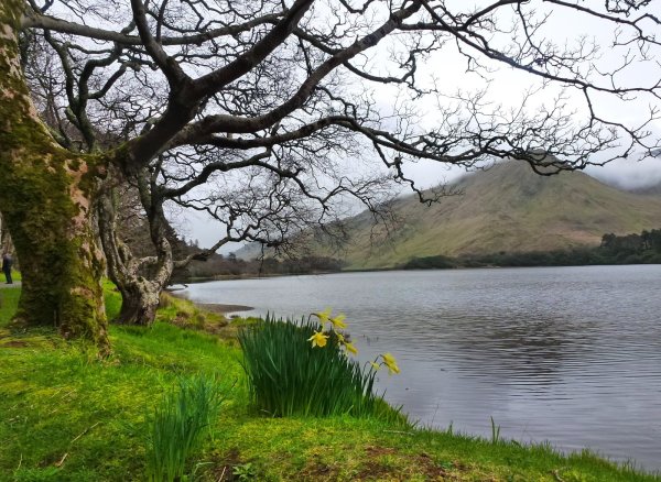 Весна в Ирландии