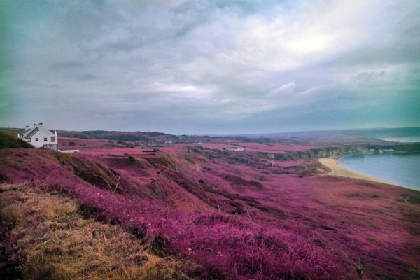 Исландия Вересковые поля