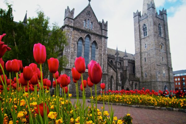 Весна в Дублине