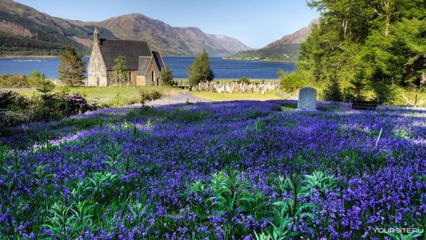 Англия Девоншир Весна