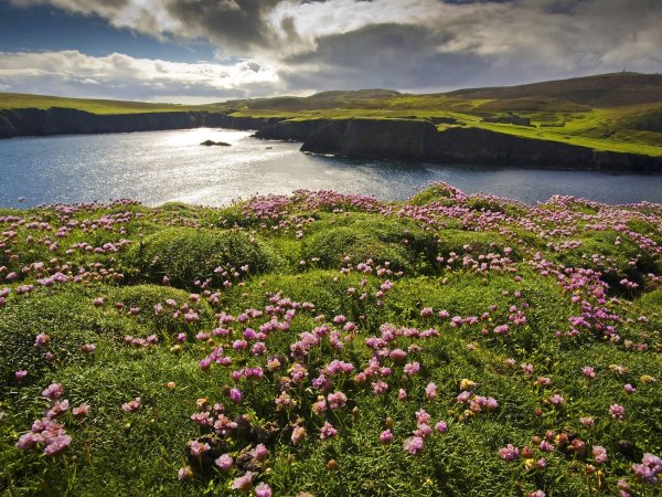 Шетландские острова пейзажи
