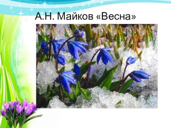 Майков Весна