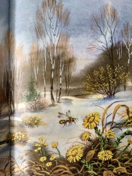 Майкова Весна