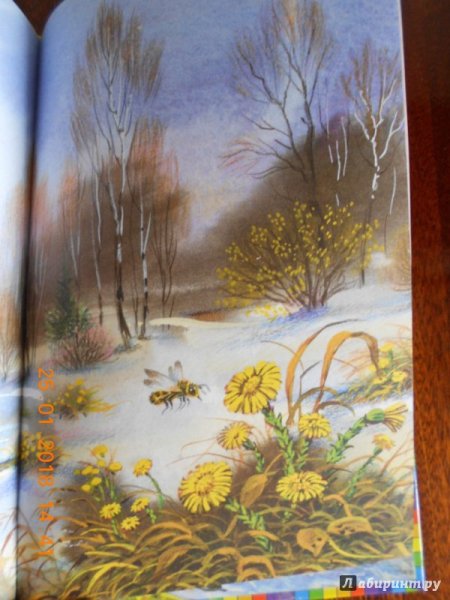 Иллюстрация Тютчева