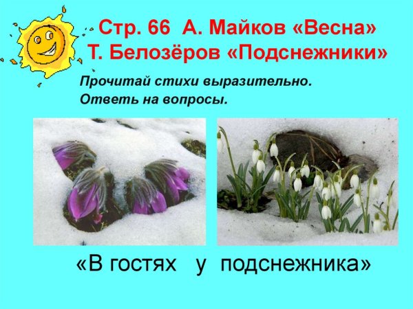 Белозёров подснежники