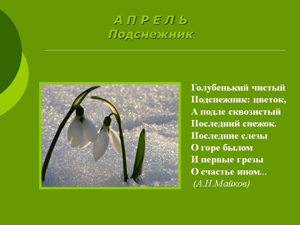 Стихи русских поэтов