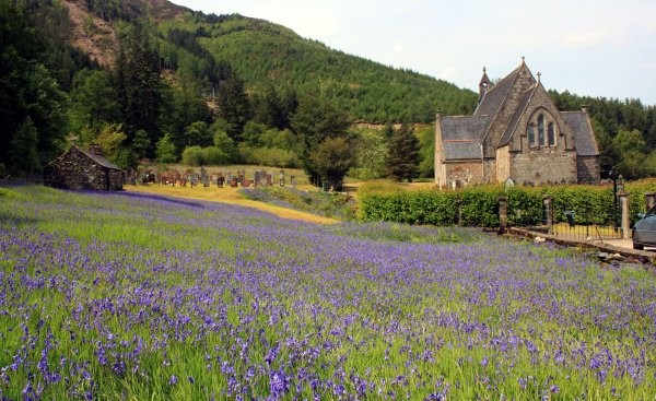 Фитцен Шотландия