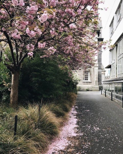 Весна в Ирландии