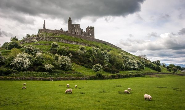Park Cashel Ireland