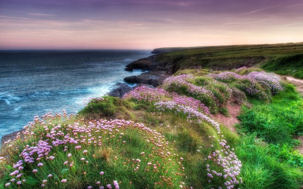 Побережье Ирландии дюны