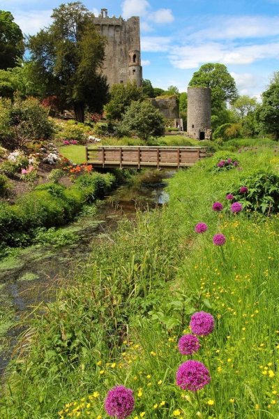 Корк Ирландия природа