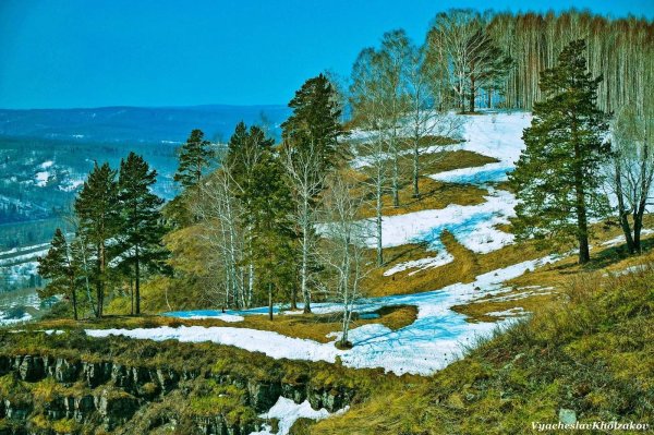 Сибирь апрельский лес