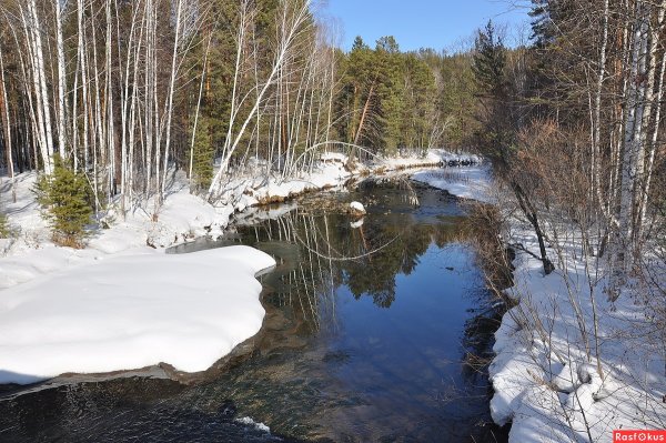 Весна в тайге