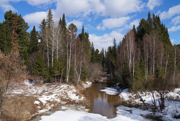 Сибирь весной