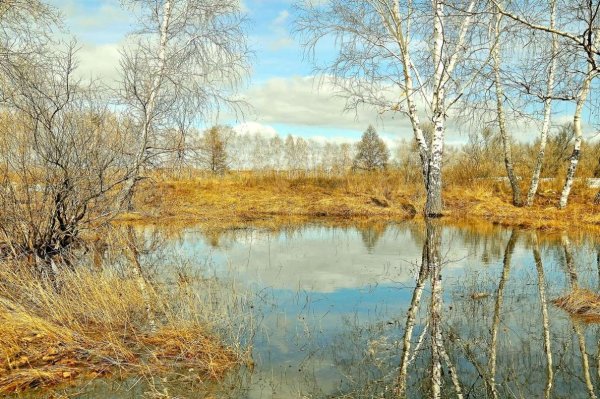 Апрель в Сибири