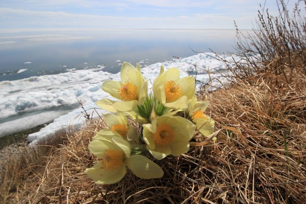 Байкал Листвянка весной