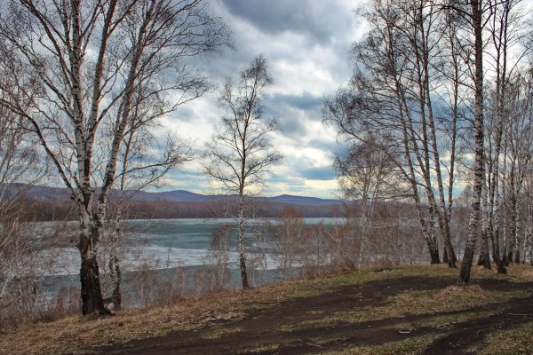 Весенняя природа Сибири