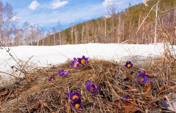 Ранняя Весна в Якутии