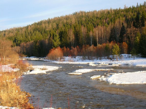 Река Бирюса Весна