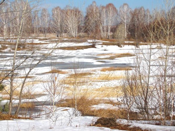 Озеро Алтан Красноярский край фотографии