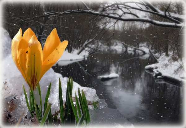 Красивый приход весны